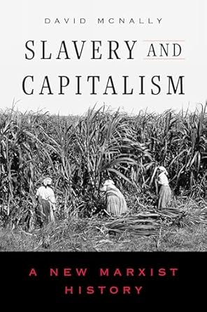 slavery and capitalism a new marxist history 1st edition david mcnally 0520415973, 978-0520415973