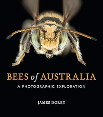 bees of australia a photographic exploration 1st edition james dorey 148630849x, 978-1486308491