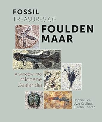 fossil treasures of foulden maar a window into miocene zealandia 1st edition uwe kaulfuss phd ,daphne lee