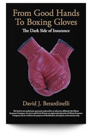 from good hands to boxing gloves 1st edition david j berardinelli 1941007074, 978-1941007075