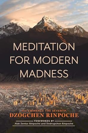 meditation for modern madness 1st edition dzogchen rinpoche 161429948x, 978-1614299486
