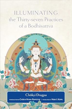 illuminating the thirty seven practices of a bodhisattva 1st edition chokyi dragpa ,heidi i koppl ,chokyi