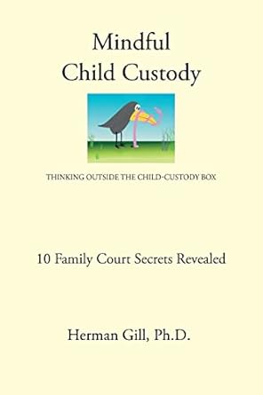 Mindful Child Custody Thinking Outside The Child Custody Box 10 Family Court Secrets Revealed