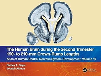 the human brain during the second trimester 190 to 210 mm crown rump lengths 1st edition shirley a bayer
