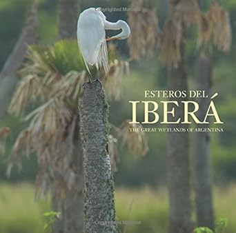 esteros del ibera the great wetlands of argentina 1st edition juan ramon diaz colodrero 0984693254,