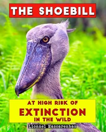 the shoebill at high risk of extinction in the wild 1st edition lionnel mascarenhas 1949002489, 978-1949002485