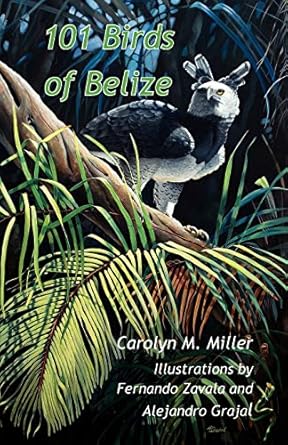 101 birds of belize 1st edition carolyn m miller ,fernando zavala ,professor alejandro grajal 9768142197,