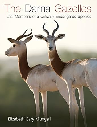 the dama gazelles last members of a critically endangered species 1st edition dr elizabeth cary mungall