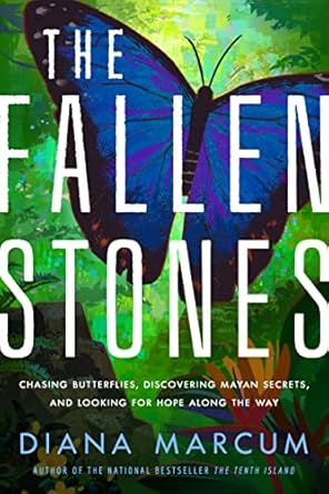 the fallen stones chasing butterflies discovering mayan secrets and looking for hope along the way 1st