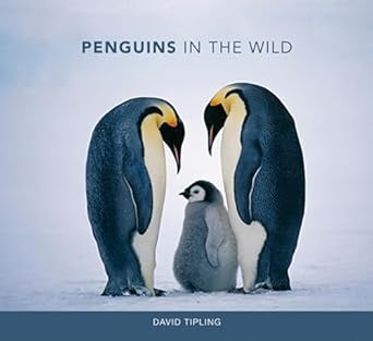 penguins in the wild 1st edition david tipling 0262019604, 978-0262019606