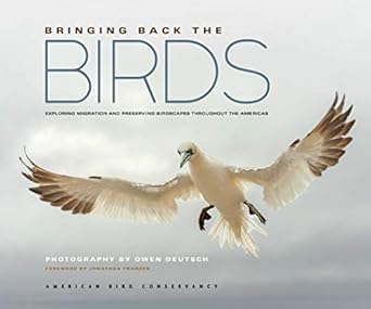 bringing back the birds exploring migration and preserving birdscapes throughout the americas 1st edition