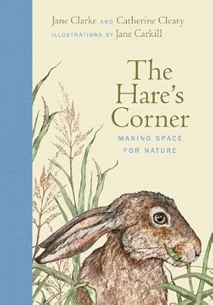the hares corner 1st edition jane clarke ,catherine cleary ,jane carkill 1835940269, 978-1835940266
