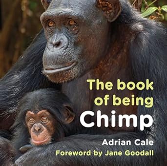 the book of being chimp 1st edition adrian cale 180258787x, 978-1802587876