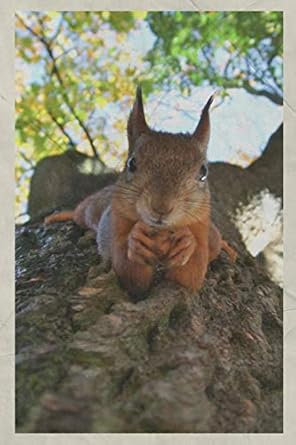 2020 ardilla scoiattolo rosso terrific planner calendar organizer daily weekly monthly vintage retro poster