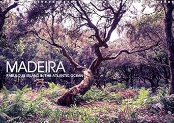 madeira fabulous island in the atlantic ocean 2020 pictures of volcano island and its fabulous nature 1st