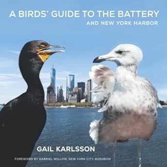 a birds guide to the battery and new york harbor 1st edition gail karlsson 0976399520, 978-0976399520