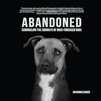 abandoned chronicling the journeys of once forsaken dogs 1st edition katherine carver ,deborah samuel