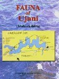 fauna of ujani maharashtra 1st edition 818587462x, 978-8185874623