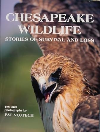 chesapeake wildlife stories of survival and loss 1st edition pat vojtech 0870335367, 978-0870335365