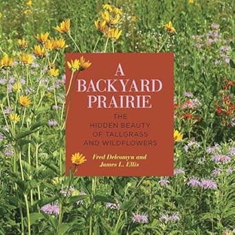 a backyard prairie the hidden beauty of tallgrass and wildflowers 1st edition fred delcomyn ,james l ellis