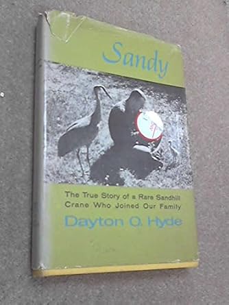 sandy the true story of a rare sandhill crane who joined our family 1st edition dayton hyde 080377608x,