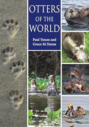 otters of the world 1st edition paul yoxon ,grace m yoxon 1849951292, 978-1849951296