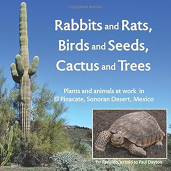 rabbits and rats birds and seeds cactus and trees plants and animals at work in el pinacate sonoran desert