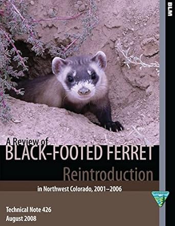 a review of black footed ferret reintroduction in northwest colorado 2001 2006 1st edition bureau of land