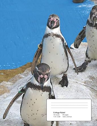 composition notebook college ruled blank lined cute penguins notebooks for girls teens kids school writing