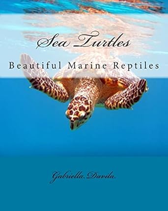 sea turtles beautiful marine repitles 1st edition gabriella davila ,julie suess ,dawn davila romulus