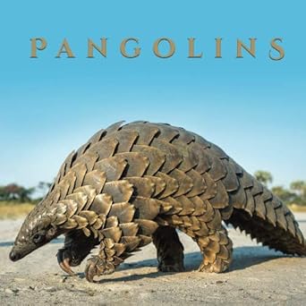 pangolins 1st edition lisa fanton 0620824700, 978-0620824705