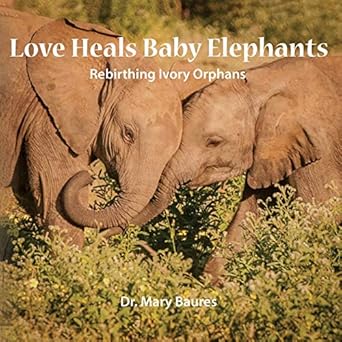 love heals baby elephants rebirthing ivory orphans 1st edition mary baures 1939166853, 978-1939166852