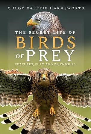 the secret life of birds of prey feathers fury and friendship 1st edition chloe valerie harmsworth