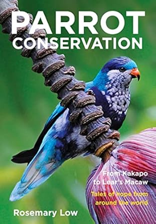 parrot conservation from kakapo to lears macaw tales of hope from around the world 1st edition rosemary low