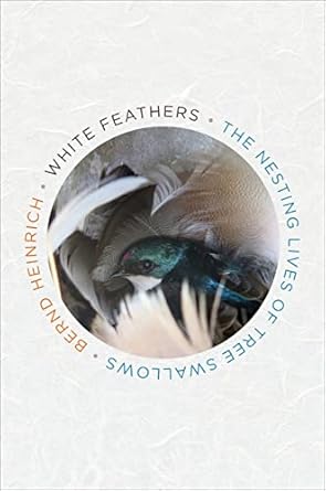 white feathers the nesting lives of tree swallows 1st edition bernd heinrich 1328604411, 978-1328604415