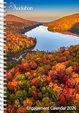 audubon engagement calendar 2026 a tribute to nature and its spectacular landscapes 1st edition workman