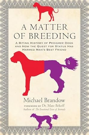 a matter of breeding a biting history of pedigree dogs and how the quest for status has harmed mans best