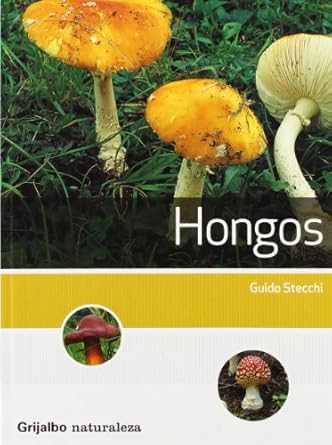 hongos/ mushrooms 1st edition guido stechi ,juan vivanco 8425339766, 978-8425339769