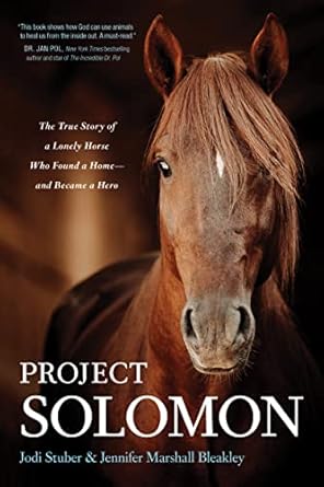 project solomon the true story of a lonely horse who found a home and became a hero 1st edition jodi stuber