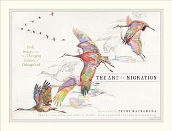 the art of migration birds insects and the changing seasons in chicagoland 1st edition peggy macnamara ,john