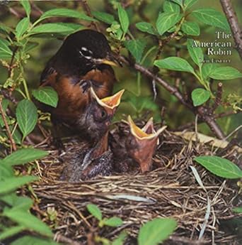 the american robin a backyard institution 1st edition len eiserer 0882292285, 978-0882292281