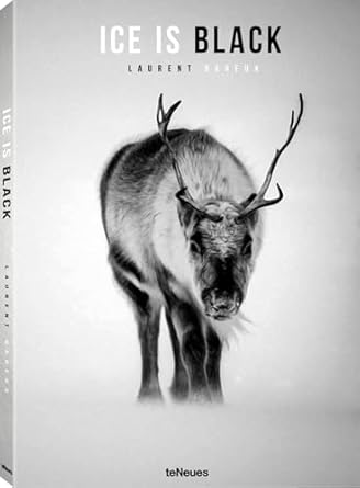 ice is black 1st edition laurent baheux 3961710481, 978-3961710485