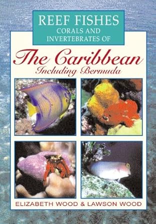 reef fishes corals and invertebrates of the caribbean a divers guide 1st edition elizabeth wood ,lawson wood