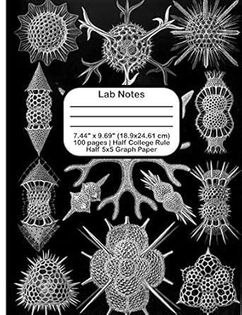 lab notes 1st edition terri jones 171991124x, 978-1719911245