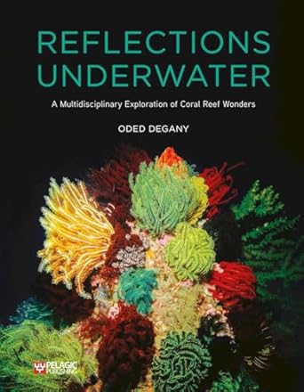 reflections underwater a multidisciplinary exploration of coral reef wonders 1st edition oded degany