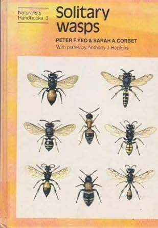 solitary wasps 1st edition peter f yeo ,sarah a corbet 0521233879, 978-0521233873
