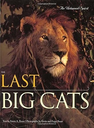 the last big cats an untamed spirit 1st edition erwin a bauer ,peggy bauer 089658593x, 978-0896585935