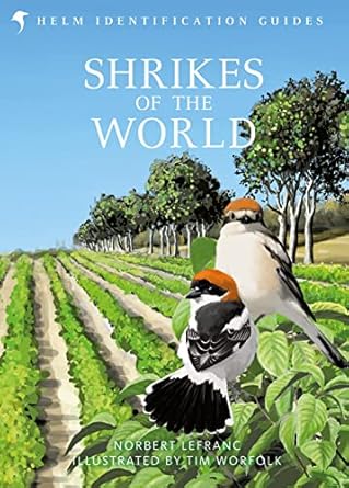 shrikes of the world the bb/bto bird book of the year 1st edition norbert lefranc ,tim worfolk 147293377x,