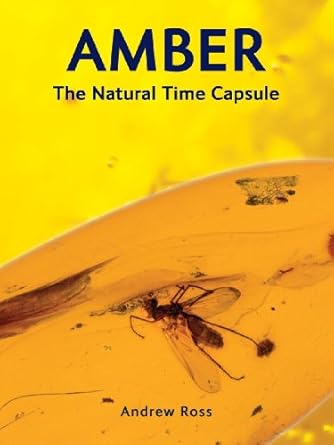 amber the natural time capsule 1st edition andrew ross 1554076099, 978-1554076093