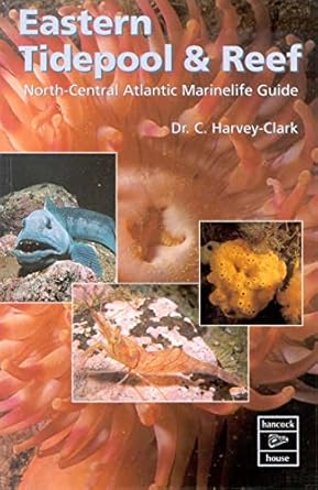 eastern tidepool and reef north atlantic marine life 1st edition chris harvey clark 0888394063, 978-0888394064